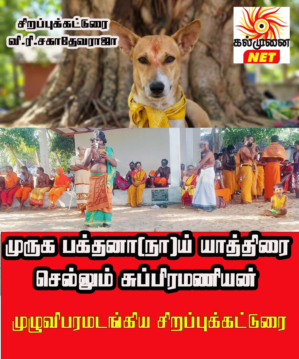 முருக பக்தனா(நா)ய்  யாத்திரை செல்லும் சுப்பிரமணியன்- முழுவிபரமடங்கிய சிறப்பு கட்டுரை