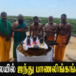சிரேஷ்ட கலாசார உத்தியோகத்தராக தௌபீக் பதவியுயர்வு.