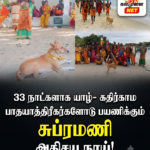 நாட்டை வீழ்ச்சியடையச் செய்த ஊழலுக்கு எதிரான கடும் நடவடிக்கை தொடரும் : சட்டம் யாவருக்கும் சமம் : ஜனாதிபதி
