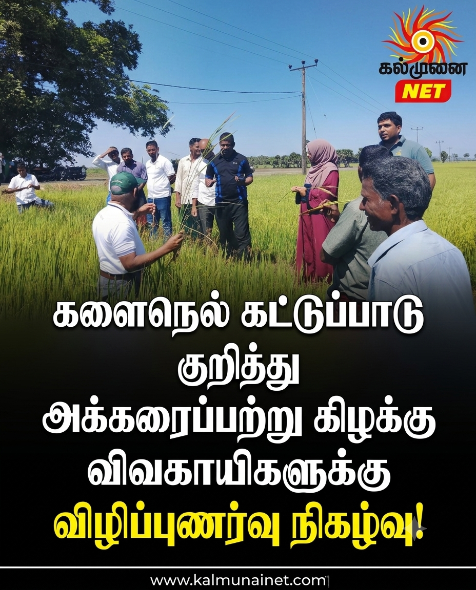 களைநெல் கட்டுப்பாடு குறித்து அக்கரைப்பற்று கிழக்கு விவசாயிகளுக்கு விழிப்புணர்வு நிகழ்வு!