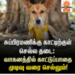 இன்று வேலோடுமலையிலிருந்து   அதிகாலையில் கதிர்காமம் ஆயிரம் வேல் பாதயாத்திரை ஆரம்பம்!