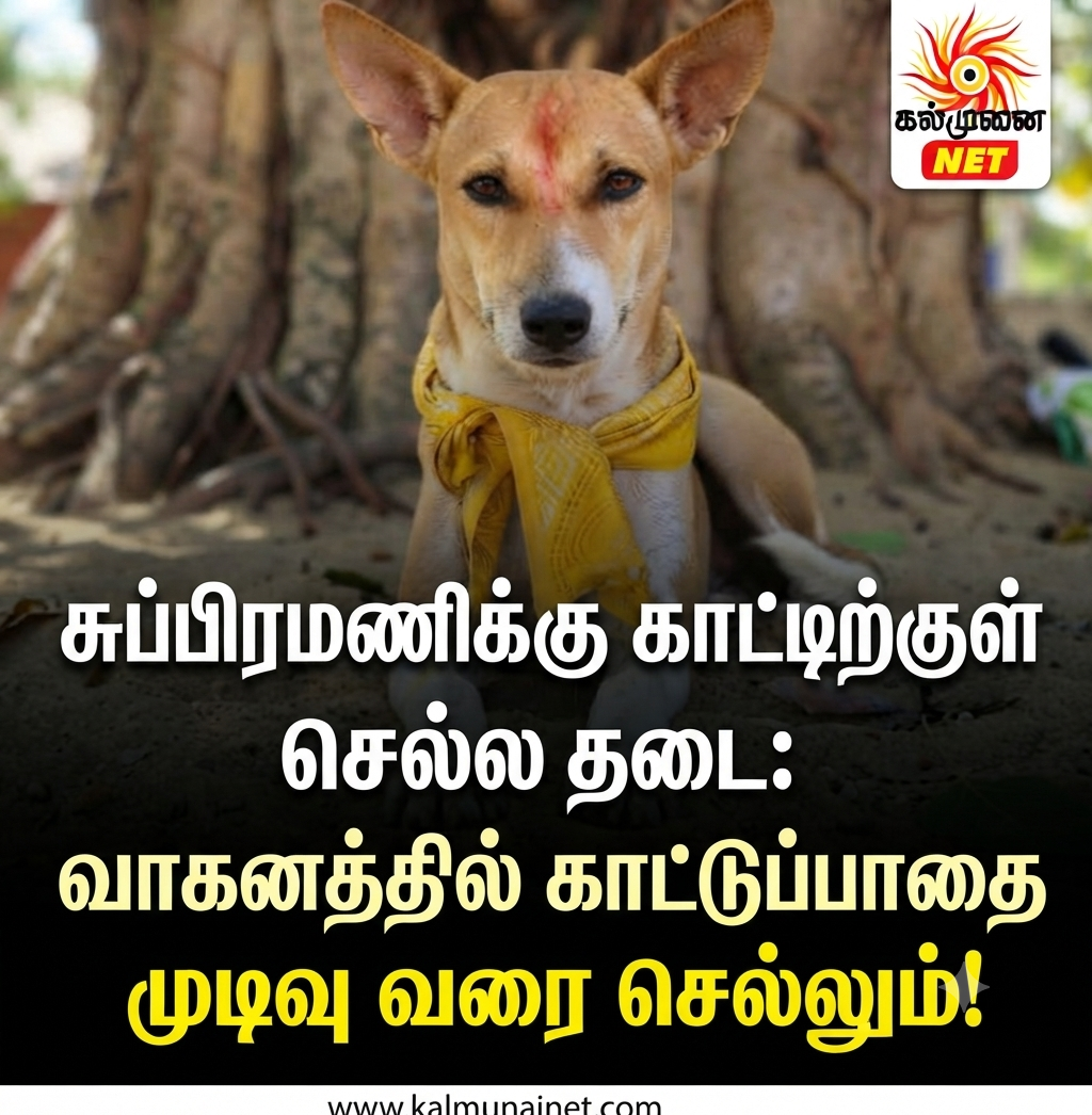சுப்பிரமணிக்கு காட்டிற்குள் செல்ல தடை: வாகனத்தில் காட்டுப்பாதை முடிவு வரை செல்லும்!